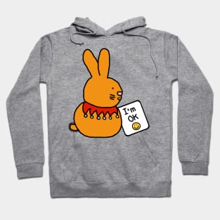 Bunny Rabbit says Im OK at Easter Hoodie